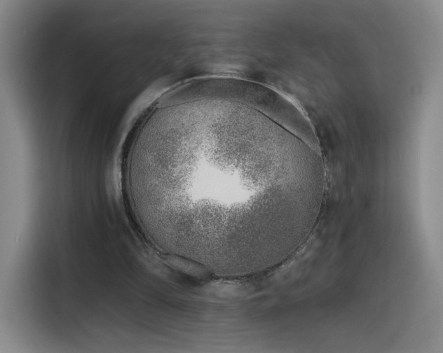 X0000116150294200911231337