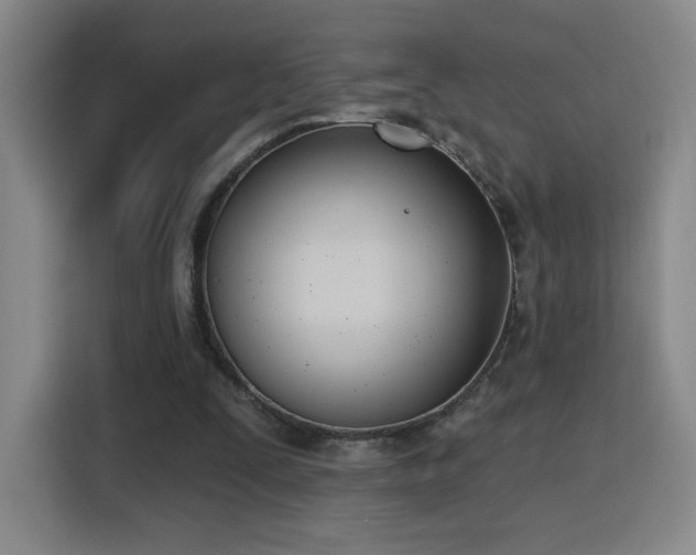 X0000116150295200911231337