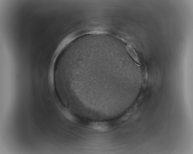 X0000116150296200911231337