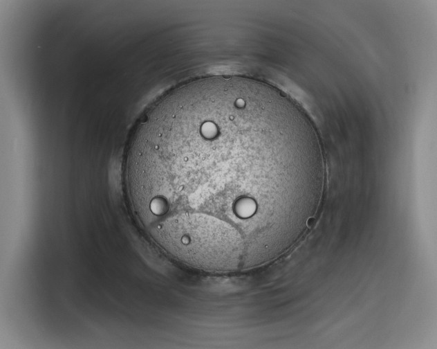 X0000116150297200911231337