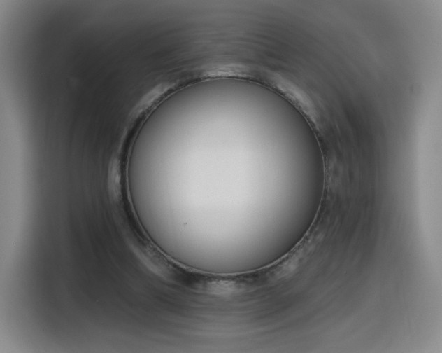 X0000116150298200911231337