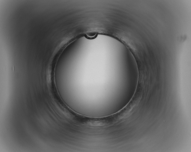 X0000116150299200911231337