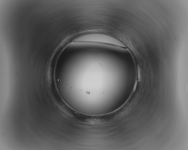 X0000116150300200911231337