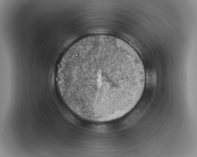 X0000116150301200911231337