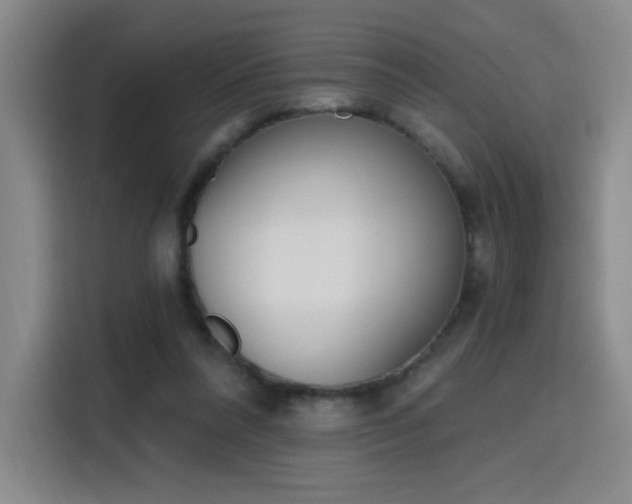 X0000116150304200911231337