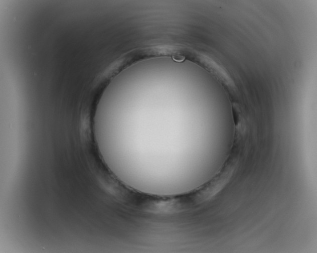 X0000116150306200911231337