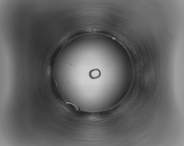 X0000116150308200911231337