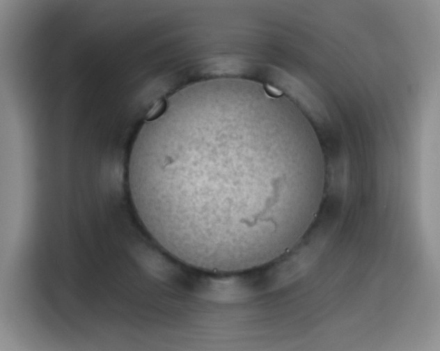 X0000116150309200911231337