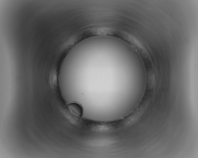 X0000116150310200911231337