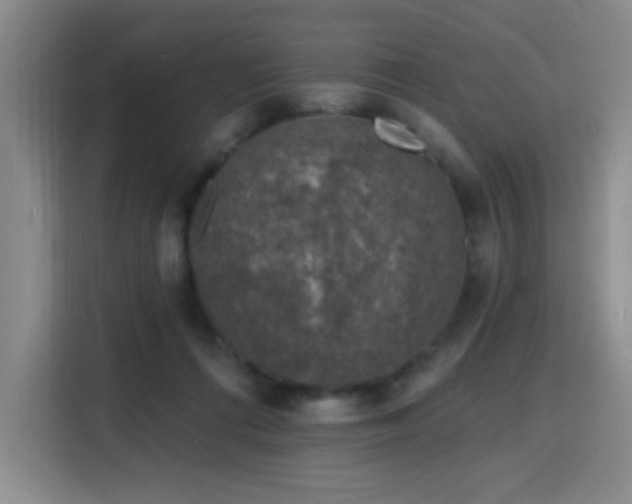 X0000116150312200911231336