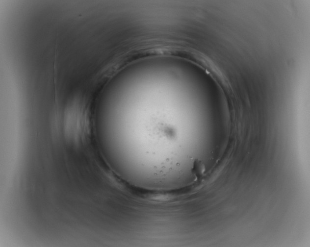 X0000116150313200911231336