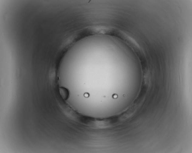 X0000116150314200911231336