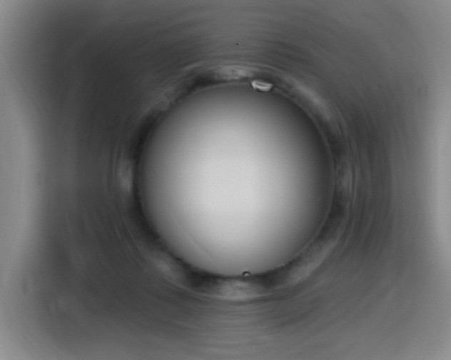 X0000116150315200911231336