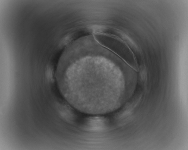 X0000116150316200911231336