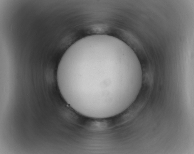 X0000116150317200911231336