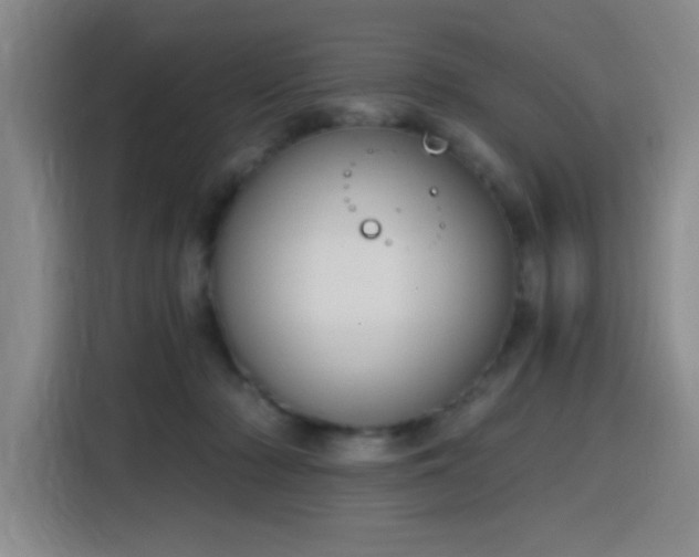 X0000116150318200911231336