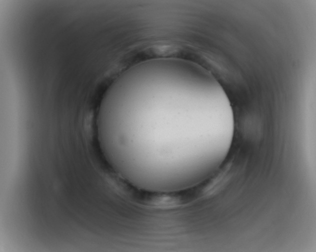 X0000116150319200911231336