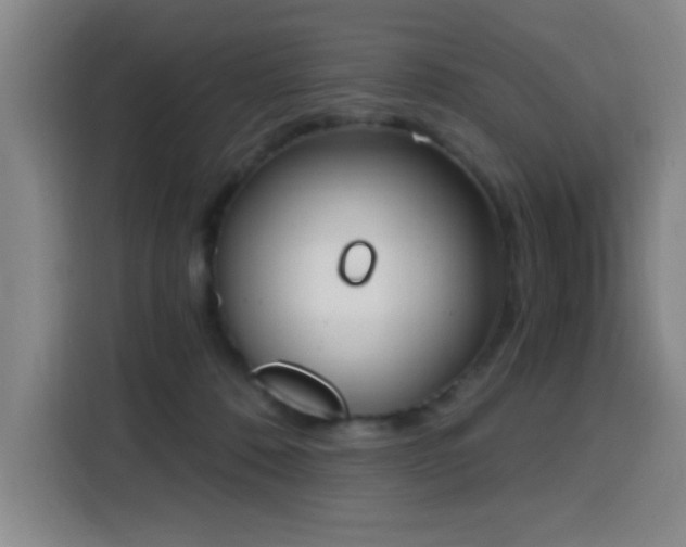 X0000116150320200911231336