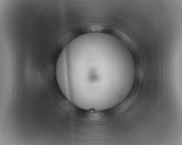 X0000116150321200911231336