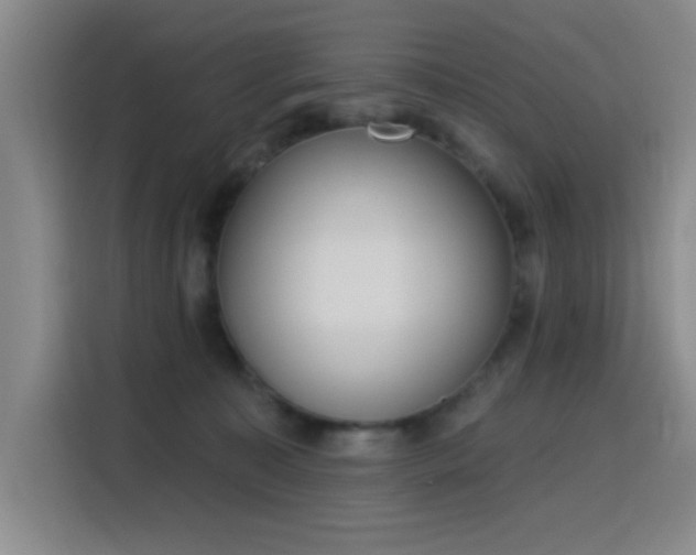 X0000116150323200911231336