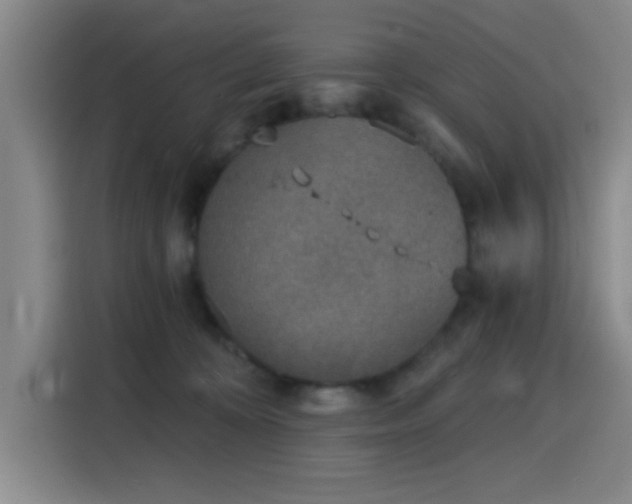 X0000116150324200911231336