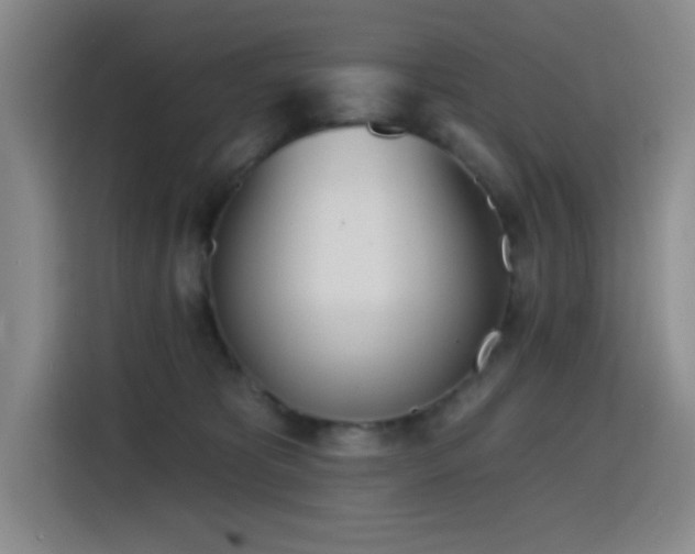 X0000116150325200911231336