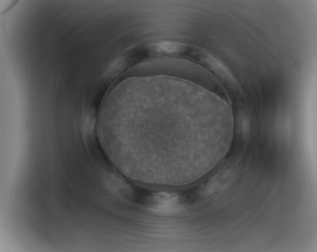 X0000116150328200911231336