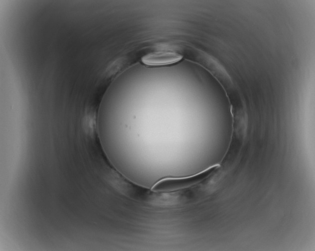 X0000116150329200911231336