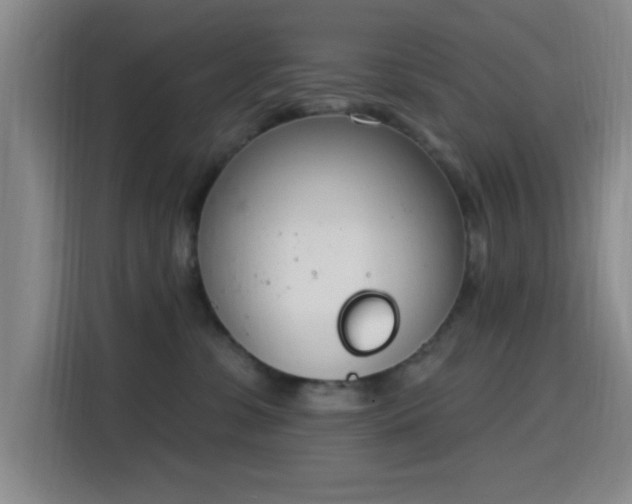 X0000116150331200911231336