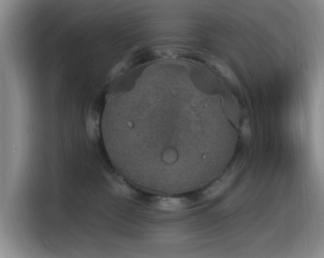 X0000116150332200911231336