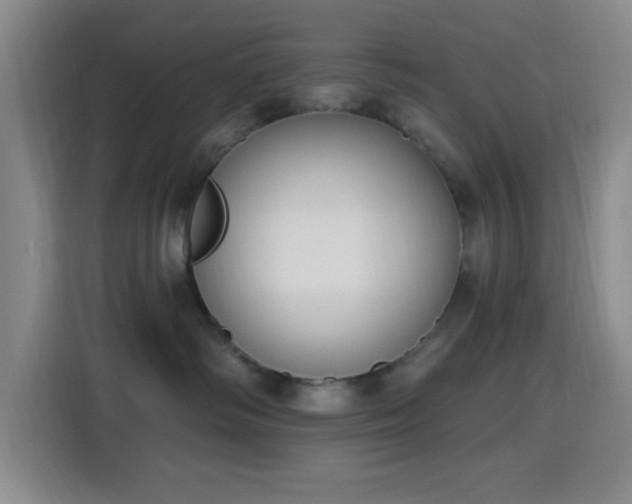 X0000116150334200911231336