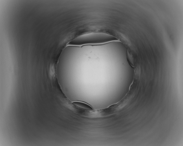 X0000116150335200911231336