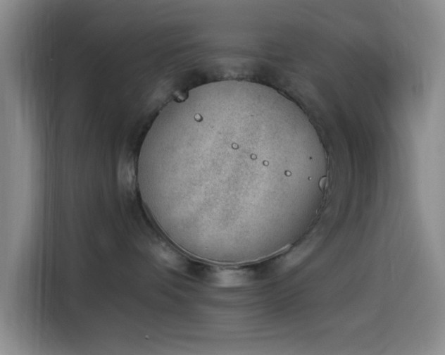 X0000116150336200911231336