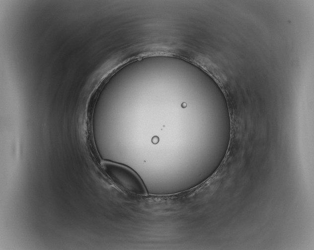 X0000116150338200911231336