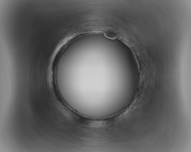 X0000116150342200911231336