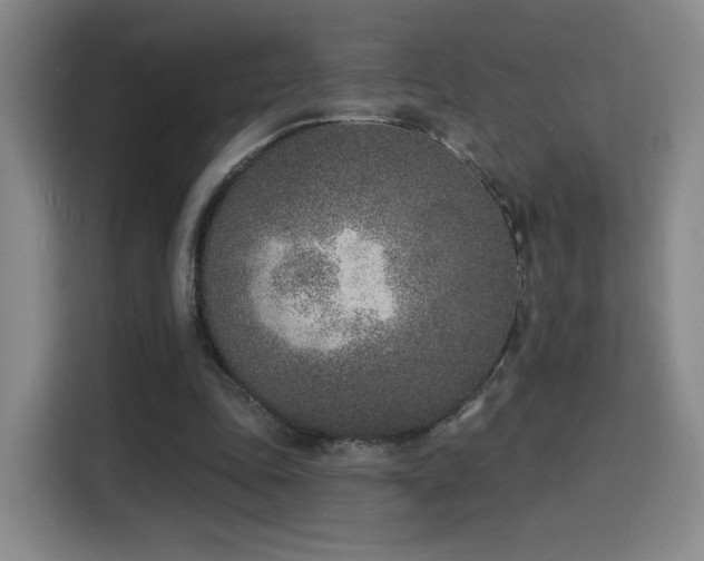 X0000116150343200911231336