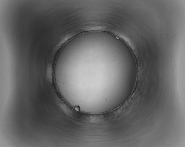 X0000116150345200911231336