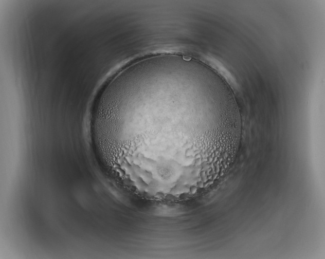 X0000116150346200911231336