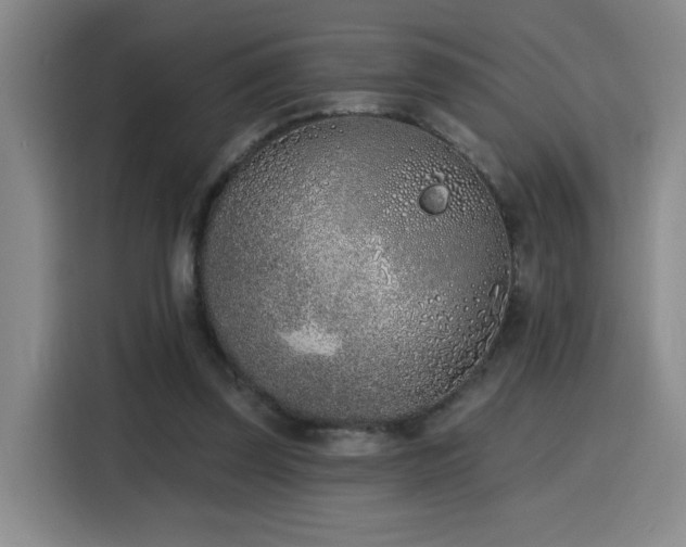 X0000116150347200911231336