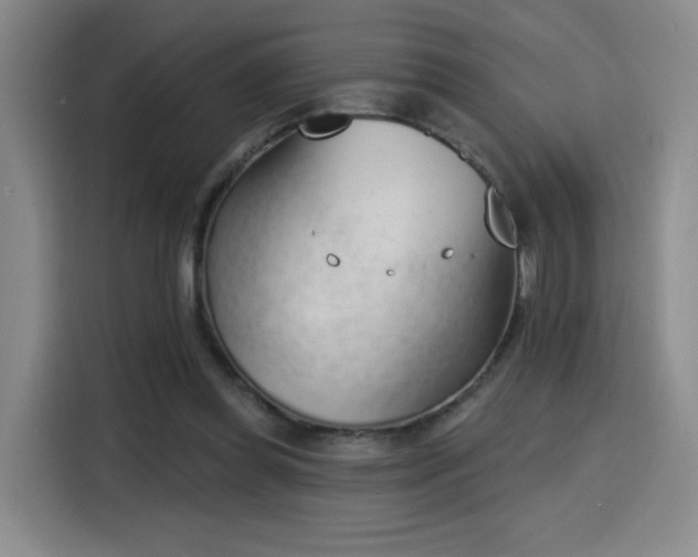 X0000116150349200911231336