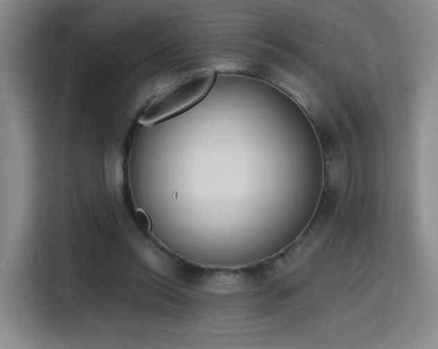 X0000116150350200911231336