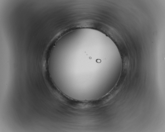 X0000116150351200911231336