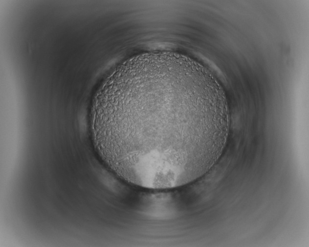 X0000116150353200911231336