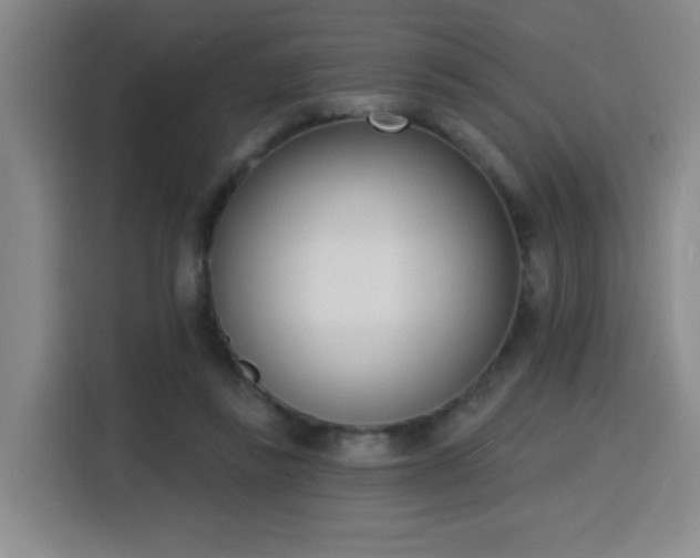 X0000116150355200911231336