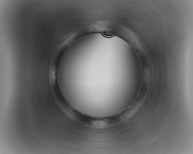 X0000116150358200911231336