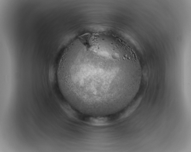 X0000116150359200911231336