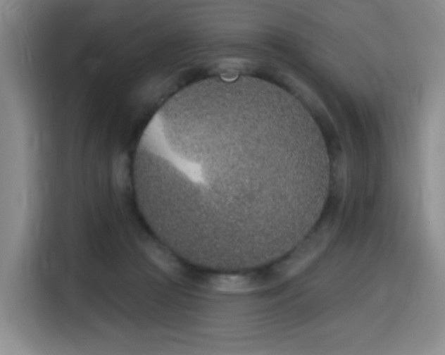 X0000116150361200911231336