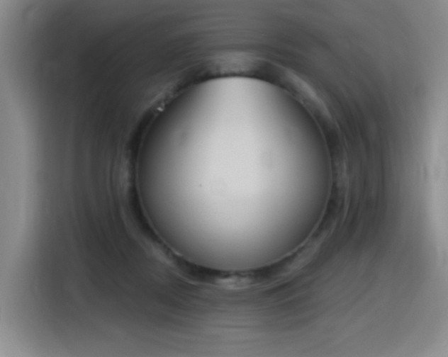 X0000116150362200911231336