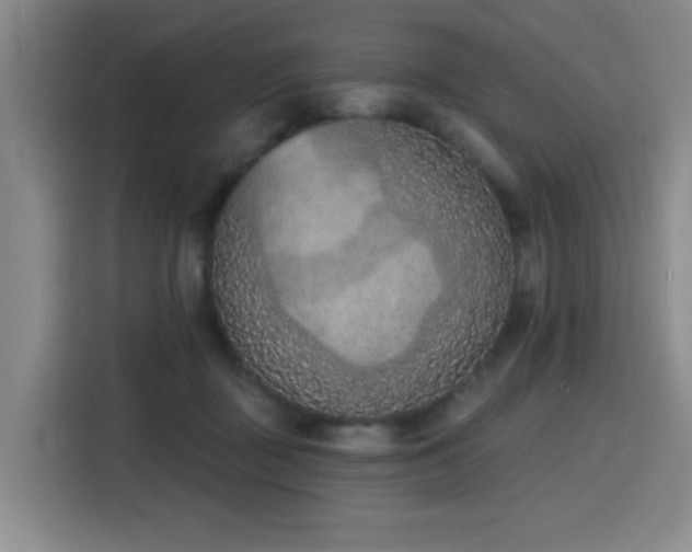 X0000116150363200911231336