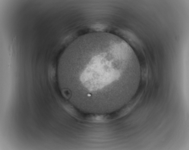 X0000116150365200911231336